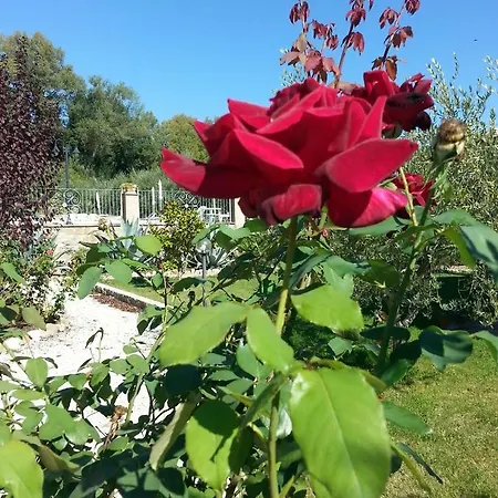 L'antico Casale Alloggio per agriturismo *