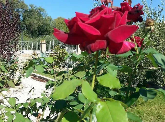 L'antico Casale Vakantieboerderij *